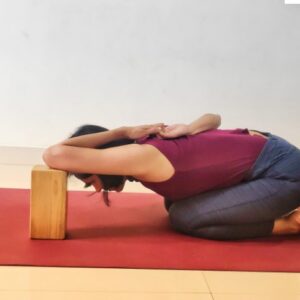 Hatha Yoga Sessions